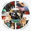 PETCUTE Dog Muzzle basket muzzle For Dog Anti Eating Prevent