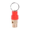 Ocobudbxw HOT 1/4'' 10KG BSP Air Compressor Safety Release Valve