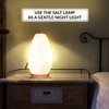 Himalayan Glow White Salt Crystal Lamp, Natural Salt Night Light,