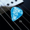 Guitar Picks - Celluloid Style Heart-Shaped Plectrums (Pack of 24)
