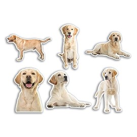 6 x 10cm Golden Labrador Vinyl Stickers - Dogs Puppy Animal Funny Pattern Nature Pets Face Wild Girls Boys Travel Scrapbooking #80801