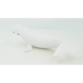 Unbranded Beluga, White Whale, Arctic Realistic Toy Figure, Model, Replica, 7" CH380 BB142