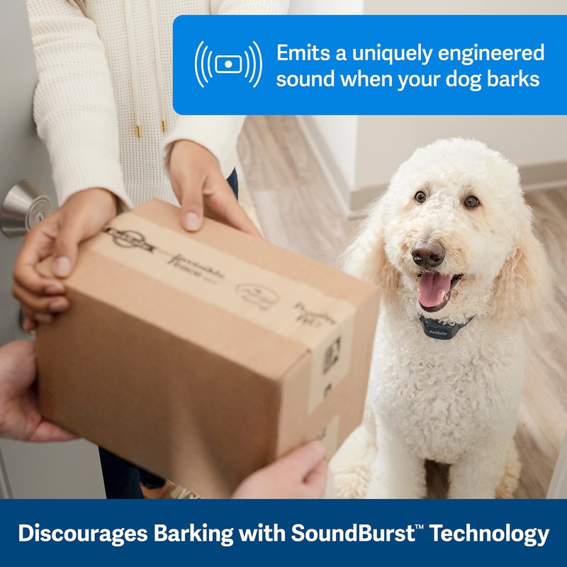 PetSafe Audible Bark Collar Navy