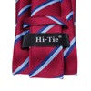 Hi-Tie Classic Mens Silk Ties Set 4 PCS Necktie Pocket