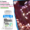 60 Billones de Probioticos Inulina de Agave - Probioticos y