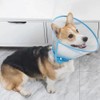 renyigou Pet cone collar Cat cone dog cone rehabilitation soft
