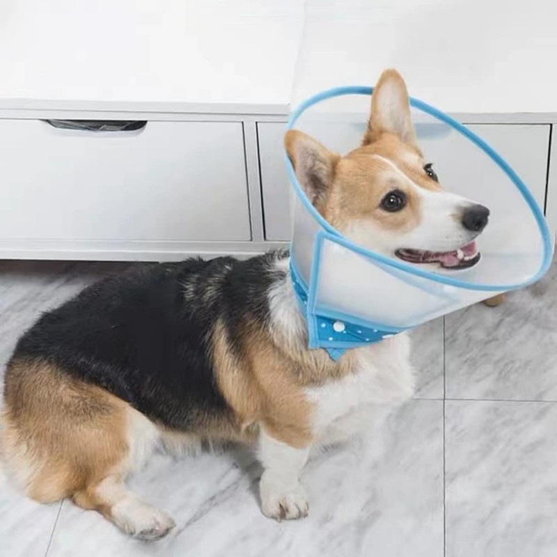 renyigou Pet cone collar Cat cone dog cone rehabilitation soft