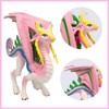 Doyomtoy Dragon Princess, Realistic Flying Dragon Toy Action Figure Christmas