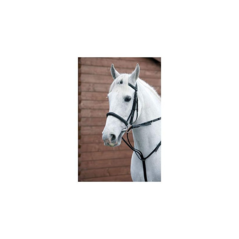 Y-H Hy Market Harborough-Black Cob/Full