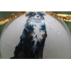 D113 Hand-made Christmas Ornament dog Border Collie Tri sitting happy