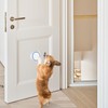 Pets Wireless Training Bells, 1 Receiver, 2 Transmitters, White, Wireless