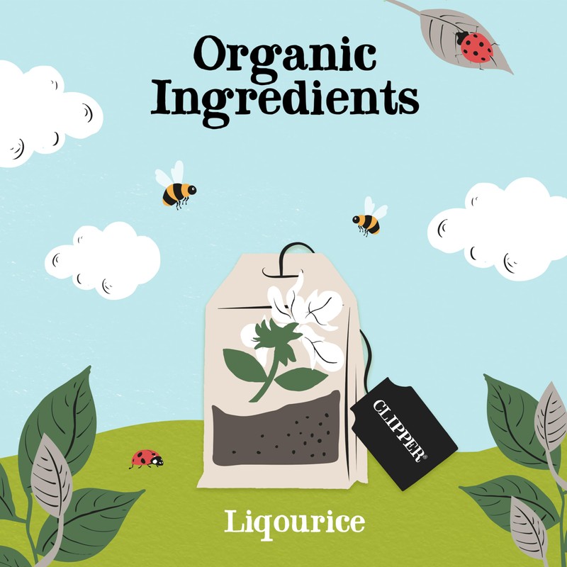 Organic Infusion Liquorice Tea - 20bags