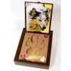 PawPals Paw Print Keepsake Classic Mold Kit - BRAND NEW