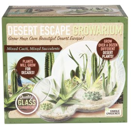 Unique Gardener Grow Your Own Desert Escape in A Quality Glass Terrarium - Easy to Maintain Cacti and Succulents - Over A Dozen Desert Plants That Will Last for Years!