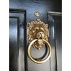 Forge Hardware Studio Brass Lionhead Door Knocker - Brass Home