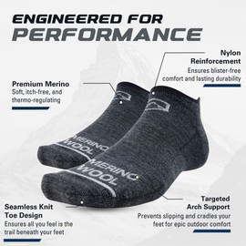 CloudLine Merino Wool Running Socks for Men and Women - Ultralight, Thin, Anti-Blister, Moisture Wicking, Made in USA - Granite, Size Medium, 1 Pair