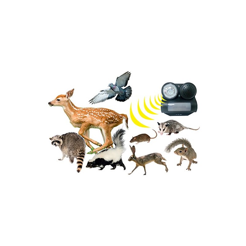 Bird B Gone Sonic Shield - Motion Activated Sonic Animal