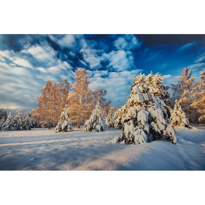 13" X 19" Cold Press Watercolor Fine Art Inkjet Paper