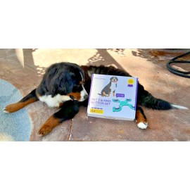 Petopix NEW PETOPIX Dog Talking Button Set Non-Slip Pad - 4X Recordable Dog Buttons