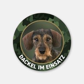Dachshund Sticker "Dachshund im Einsatz" Rauhaardackel, Teckel, Dachshund Premium Sticker Round