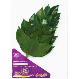 Sakaki, Extra Large MV, Camellia Leaves Extra Thick, Medium Size, No Artificial Flowers, Preserved Sakaki (Made with Premium Camellia Leaves from Tanba) < Utility Model Registration No. 3222297> Handmade, Handmade, No Withering, Sakaki, No Watering, Shin