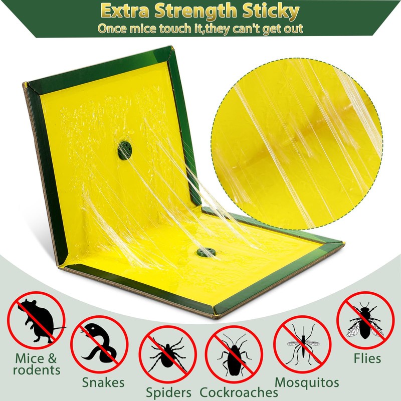 Qualirey 36 Pcs Large Mouse Traps Bulk Adhesive Mouse Rat