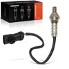 Frankberg 1x Lambda Sensor Diagnostic Probe After Catalytic Converter 4-Pin