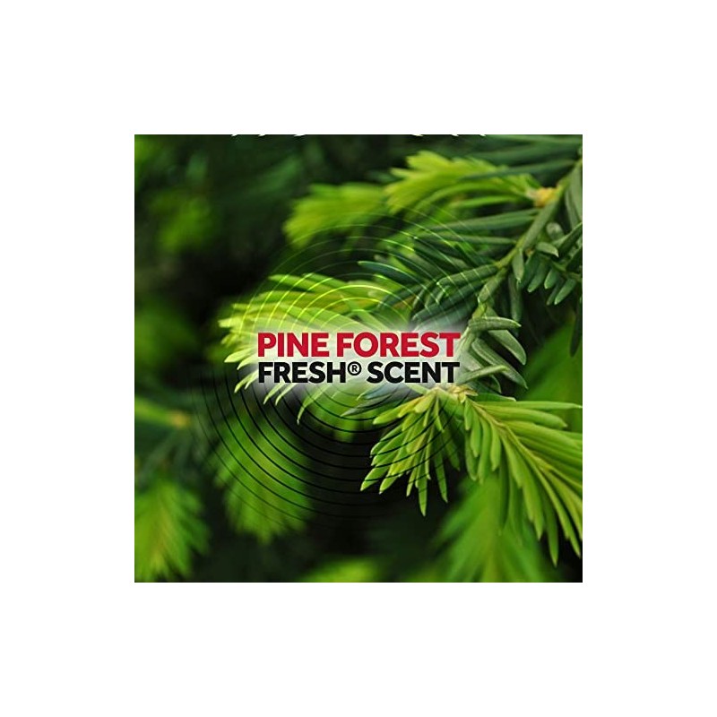 Raid Ant Killer Spray Pine Forest 17.5 Ounce (Pack of
