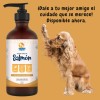 Aceite De Salmon Omega 3 Perros Pure Y Gatos 500