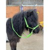 Rope headcollar with Reins for use of Bitless Horse Riding