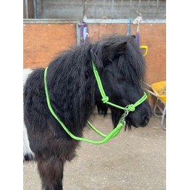 Rope headcollar with Reins for use of Bitless Horse Riding Full to Mini Shet 5 Colours (Neon Green, Pony)