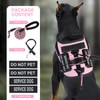 No Pull Dog Harness Small Medium Sized Dog, Service Dog