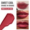 HEXZE Velvet Matte Lip Gloss M83
