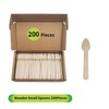 Mini Ice Cream Wooden Spoons 200 Counts, 3.8" Disposable Wooden