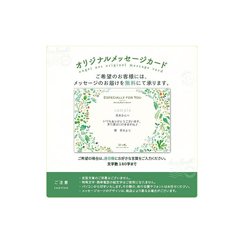 Seishin Pottery GD-93102 Enjoy Planter, Mini Tomato, Veggie