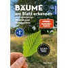 Bäume am Blatt erkennen - 78 Laub- und Nadelgehölze. Blätter