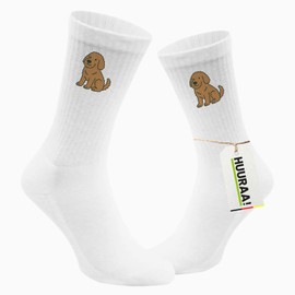 Huuraa Unisex Labradoodle Comic Labradoo Socks Gift Size 4/12 Labradoodle Gift Idea, multicoloured