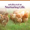 Manna Pro 7-Grain Ultimate Chicken Scratch – Non-GMO Scratch Grain