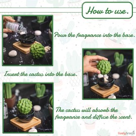 Lively Breeze Frank Cactus, Non-Electric Ceramic Diffusers for Essential Oils and Aromatherapy Fragrance, White Ceramic Diffusers in Car or Desk Office Decor and Small Bathroom at Home, Black vase