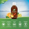 Natures Way NutraSea DHA Juicy Citrus 200 mL - Omega3