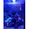 Ecotech Marine Vortech MP40 3D Printed Dry Side Support Mount