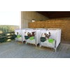 Landwirtschfts-Eimer12Ltr