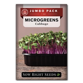 Sow Right Seeds - Bulk Cabbage Microgreen Seeds for Growing - 1 Ounce, 7000 Seeds - Non-GMO Heirloom Jumbo Pack with Instructions to Grow Healthy Microgreens - Grow Loads of Cabbage Microgreens