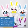 Baker Ross Easter Bunny Pom Poms 5 Pieces Pompoms for