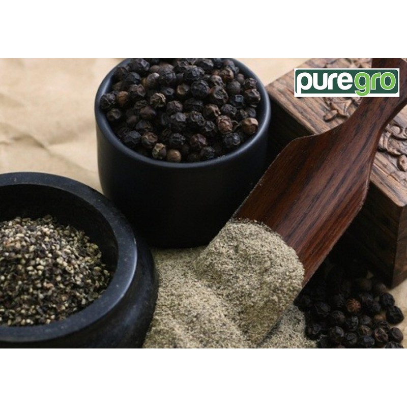 Puregro Black Pepper Fine 100g | PACK OF 1 |
