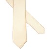 ZENXUS Solid Skinny Ties for Men, 2.5 inch Slim Champagne
