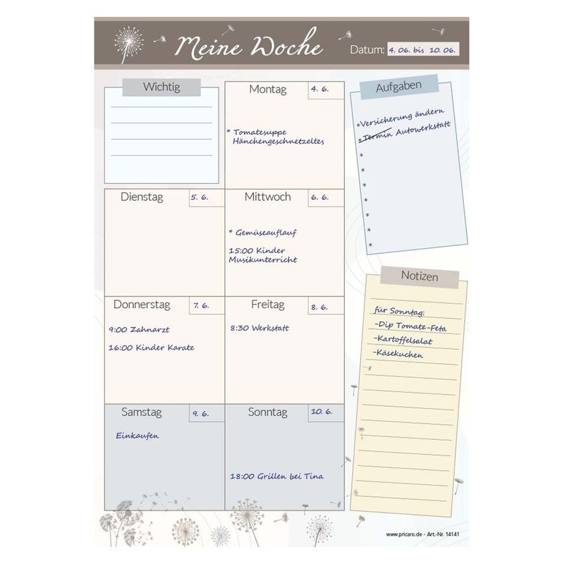PRICARO Dandelion Magnetic Weekly Planner A4 25 Sheets (Pack of