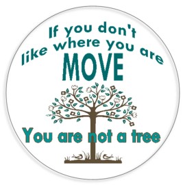 Kiwi Gifts If You Don't Like Where You Are Move - 100 Pack Circle Stickers 3 Inch