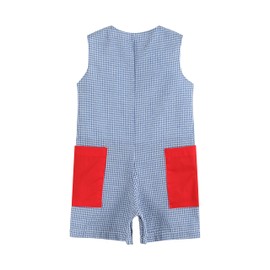 Lil cactus Blue Gingham Farm Animal Tractor Pocket Shortalls, 3-6 Months