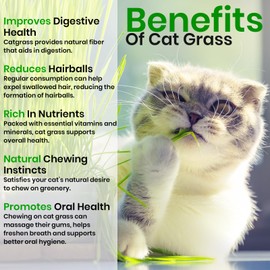 NatureZ Edge Premium Cat Grass Seeds for Indoor Cats, Non GMO - 1/2 lb Oat & Barley Grass for Indoor Cats, Cat Plant, Kitty Lawn, Pet Grass, Hierba para Gatos, Made in USA